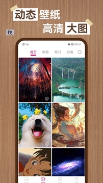必贏亞洲下載截圖